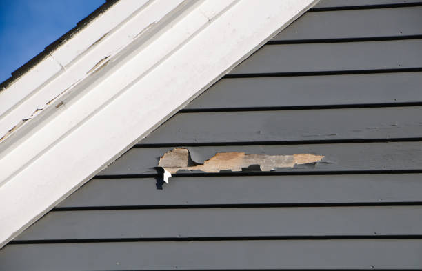 Best Siding Replacement  in Madison, WV